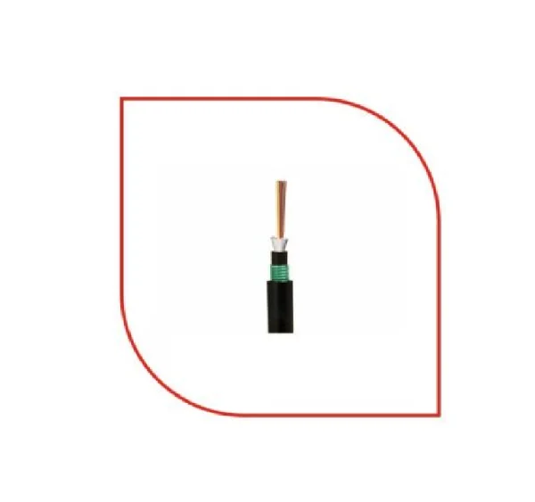 ProLink SM Fiber Cable 12-Core Double Armor (PL-FOC12D-SM) BSMART Networks